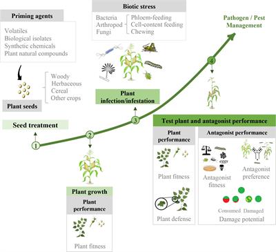 A comprehensive meta-analysis reveals the key variables and scope of seed defense priming